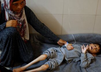 fao-aponta-que-fome-chegou-a-pior-patamar-em-gaza