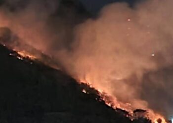 lula-lamenta-morte-de-servidores-do-ibge-em-combate-a-incendio