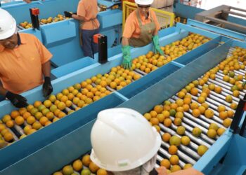 confira-a-lista-de-quase-700-produtos-que-nao-serao-taxados-pelos-eua