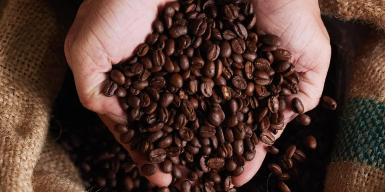 cafe-arabica-tem-queda-no-preco-nesta-quinta-feira-(31)