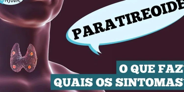 glandulas-paratireoides:-pequenas,-mas-essenciais!