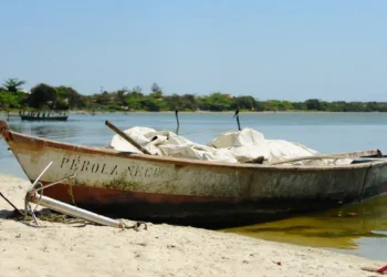 mpa-publica-portaria-que-cancela-licenca-de-7.912-pescadores-profissionais-falecidos