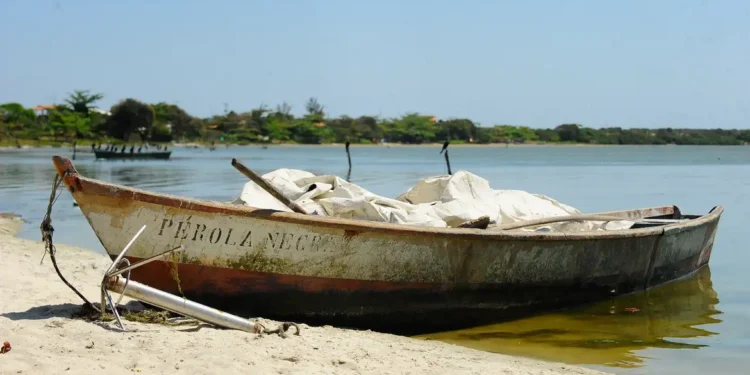 mpa-publica-portaria-que-cancela-licenca-de-7.912-pescadores-profissionais-falecidos