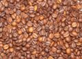 cafe-arabica-inicia-a-semana-com-queda-no-preco