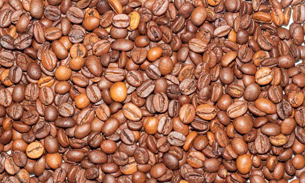 cafe-arabica-inicia-a-semana-com-queda-no-preco