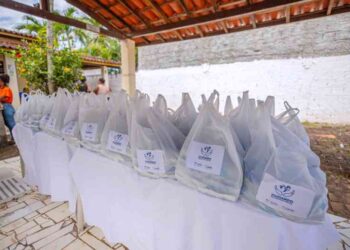 prefeitura-distribui-1,2-toneladas-de-leite-em-po-e-beneficia-600-familias