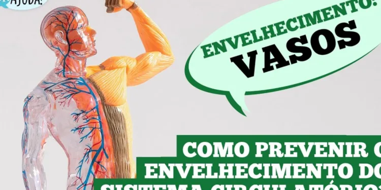 envelhecimento-dos-vasos-sanguineos:-entenda-e-cuide-se