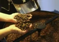 agronegocio-brasileiro-bate-recorde-e-exporta-us$-15,6-bilhoes-em-julho