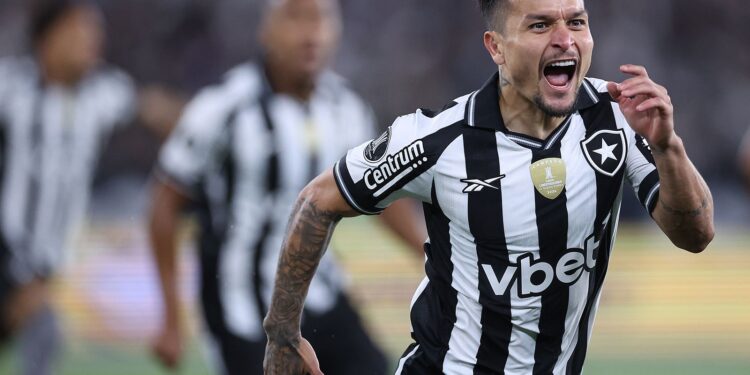 botafogo-vence-ldu-na-libertadores-com-gol-relampago