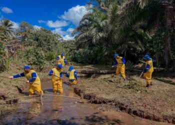 prefeitura-avanca-com-obras-de-limpeza-e-manutencao-de-ruas-e-avenidas-do-municipio