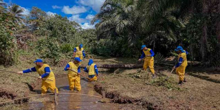 prefeitura-avanca-com-obras-de-limpeza-e-manutencao-de-ruas-e-avenidas-do-municipio