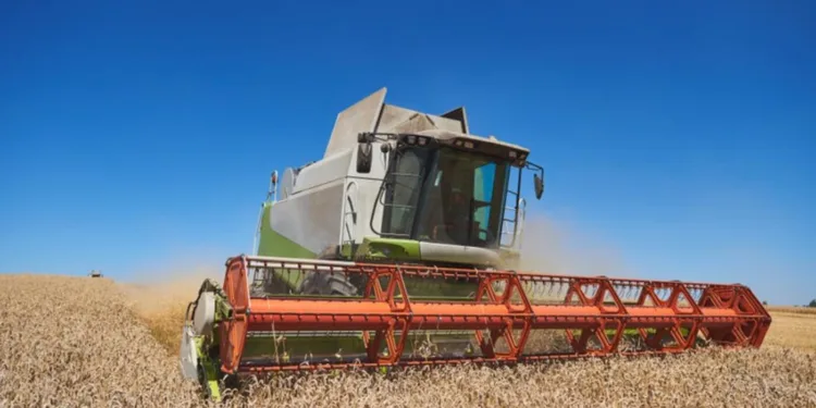 brasil-tera-safra-recorde-de-340,5-milhoes-de-toneladas-em-2025