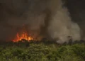 brasil-registra-mais-de-34-mil-queimadas-em-2025