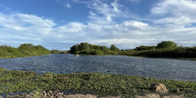 velho-chico-vence-412-km-e-chega-para-ficar-no-rio-grande-do-norte