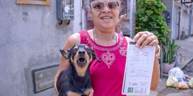 prefeitura-da-continuidade-a-vacinacao-antirrabica-domiciliar-de-caes-e-gatos