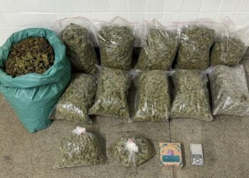 pm-apreende-34-quilos-de-maconha-em-feira-de-santana