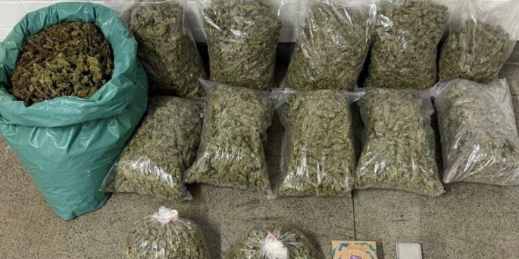 pm-apreende-34-quilos-de-maconha-em-feira-de-santana