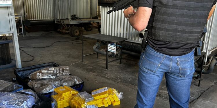 cerca-de-225-quilos-de-drogas-sao-incinerados-em-vitoria-da-conquista