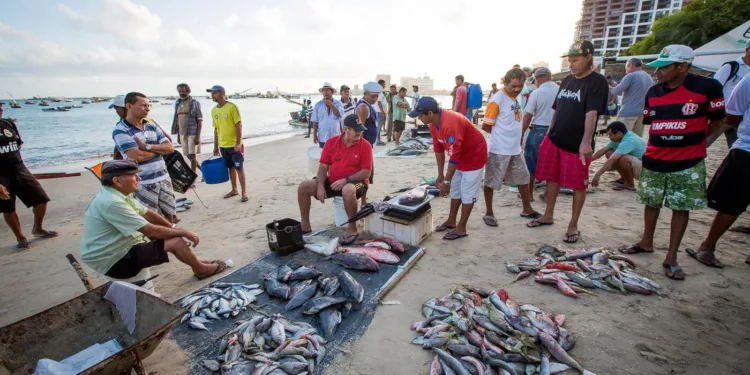 impactos-socioambientais-e-economicos-sem-precedentes-das-mudancas-climaticas-na-pesca-devem-gerar-despesas-bilionarias-ao-governo