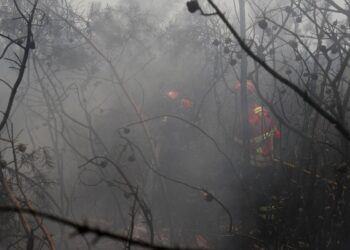 ue:-incendios-florestais-ja-queimaram-mais-de-1-milhao-de-hectares