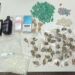 2a-companhia-independente-da-pm-apreende-drogas-e-granada-no-tororo