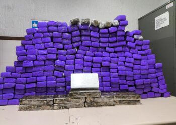 mais-de-260kg-de-drogas-sao-apreendidos-pela-pm-em-urandi