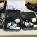 2a-cipm-apreende-cameras-clandestinas-e-dois-coldres-no-tororo