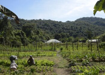 lula-autoriza-uso-de-r$-12-bilhoes-para-renegociacao-de-dividas-rurais