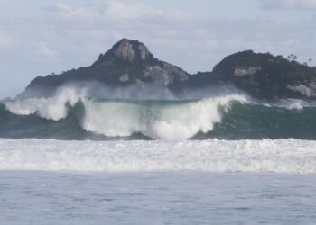 jovens-de-9-paises-participam-de-curso-de-pesquisas-oceanicas-no-rio