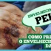envelhecimento-da-pele:-como-prevenir
