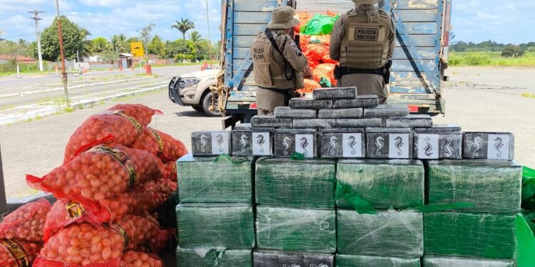 batalhao-rodoviario-da-pm-apreende-mais-de-500kg-de-cocaina-na-ba-502