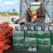 batalhao-rodoviario-da-pm-apreende-mais-de-500kg-de-cocaina-na-ba-502