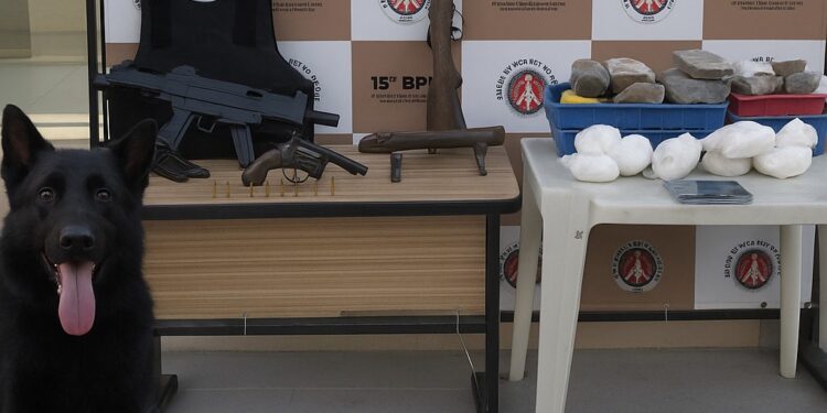 15°-batalhao-da-pm-loclaliza-14kg-de-entorpecentes-em-itabuna