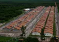 minha-casa,-minha-vida:-mais-de-2-mil-novas-moradias-comecam-a-sair-do-papel