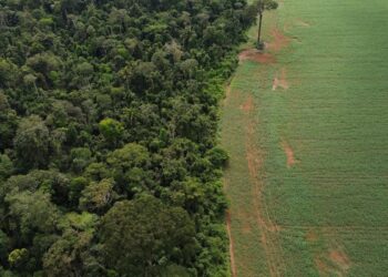 brasil-apresenta-solucoes-de-financiamento-climatico-em-nova-york