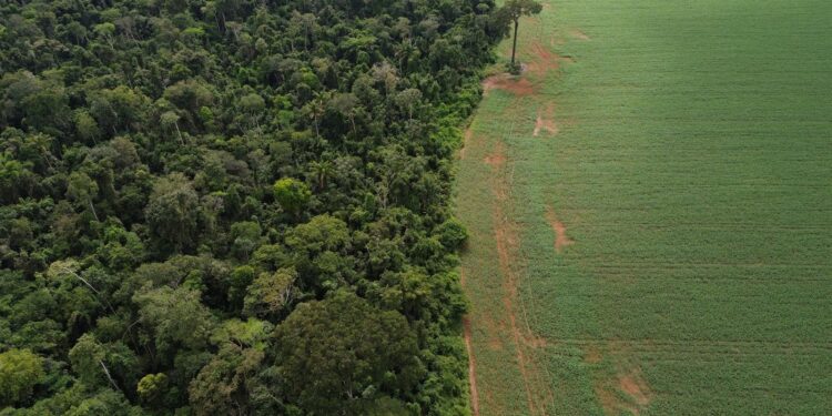 brasil-apresenta-solucoes-de-financiamento-climatico-em-nova-york