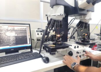 policia-tecnica-conclui-pericia-de-fuzis-apreendidos-em-abrantes