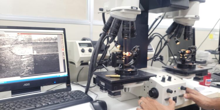 policia-tecnica-conclui-pericia-de-fuzis-apreendidos-em-abrantes