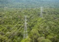 roraima-entra-no-sistema-eletrico-nacional,-se-torna-polo-estrategico-de-energia-e-abre-espaco-para-novos-investimentos