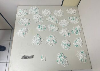 pm-apreende-drogas-em-feira-de-santana