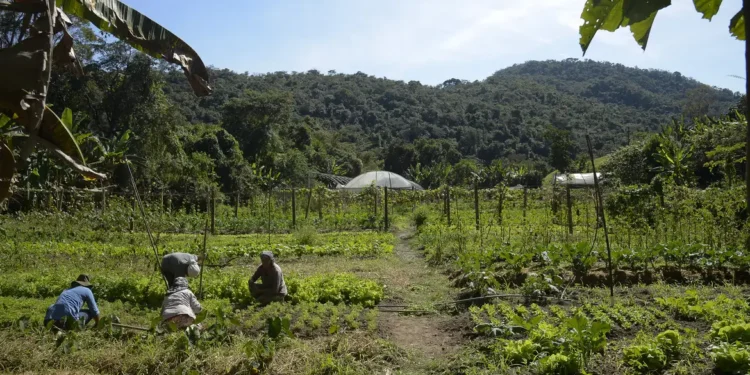 camara-aprova-prorrogacao-do-prazo-para-exigencia-de-georreferenciamento-de-imoveis-rurais-ate-2030