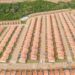 lula-entrega-2.837-moradias-do-minha-casa,-minha-vida-nesta-segunda