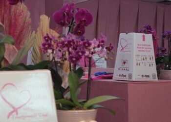 secretaria-da-seguranca-publica-recebe-primeiras-doacoes-de-mechas-no-salao-temporario-do-projeto-ligadas-por-fios