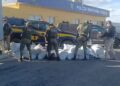forcas-estaduais-e-federais-interceptam-781-kg-de-maconha-na-br-235