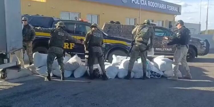 forcas-estaduais-e-federais-interceptam-781-kg-de-maconha-na-br-235