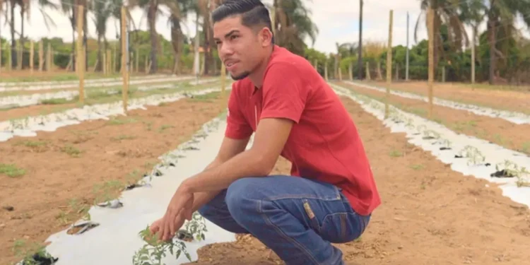 microcredito-produtivo-impulsiona-jovens-empreendedores-rurais