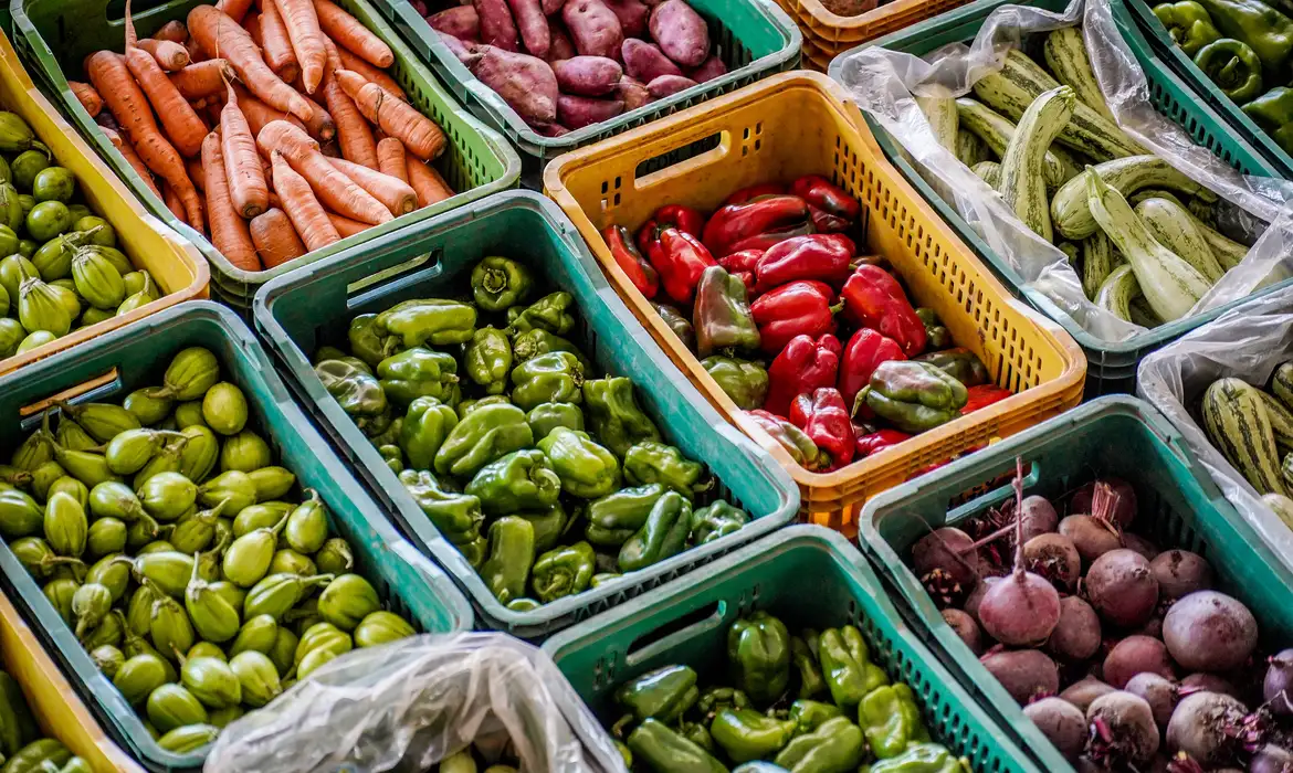 metade-dos-brasileiros-ainda-desconhece-o-que-sao-sistemas-alimentares-sustentaveis,-mostra-pesquisa