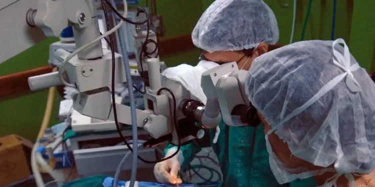 doacao-de-orgaos:-brasil-bate-recorde,-mas-recusa-familiar-ainda-e-alta