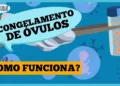 quando-e-o-momento-de-congelar-ovulos?