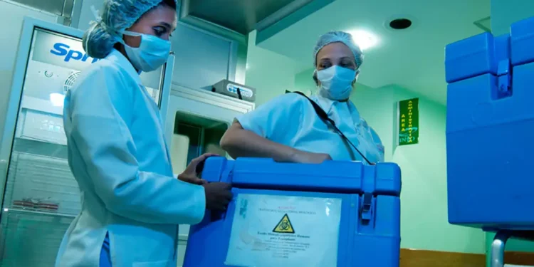 prodot:-nova-politica-nacional-fortalece-doacao-de-orgaos-no-brasil